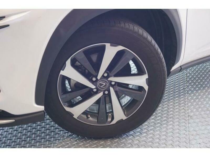 NX