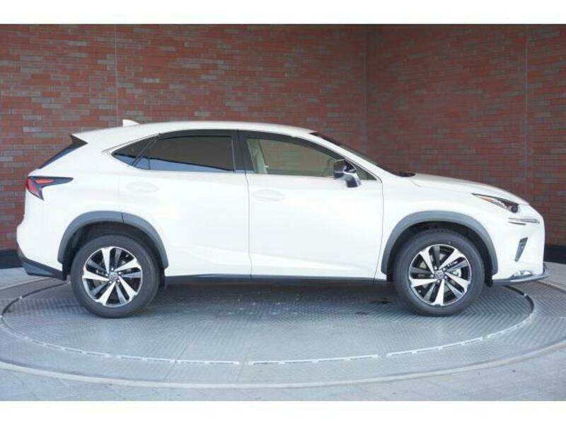 NX