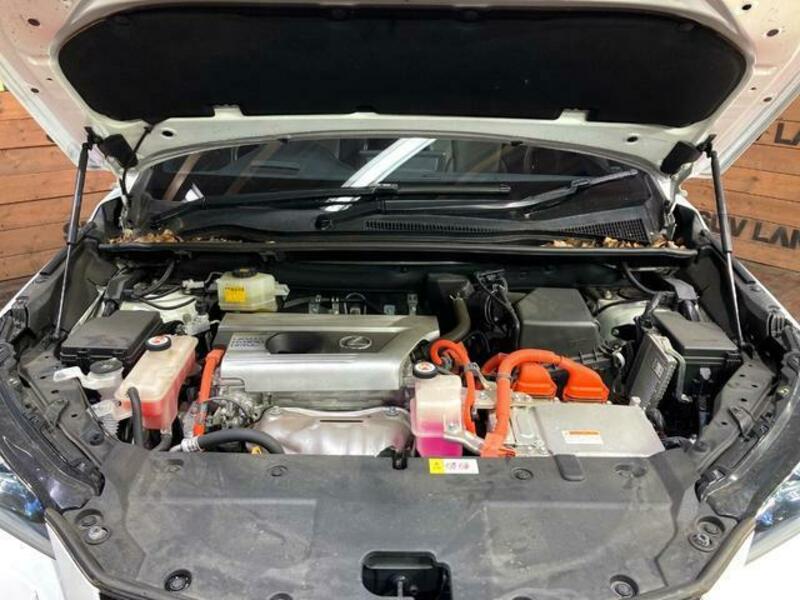 NX