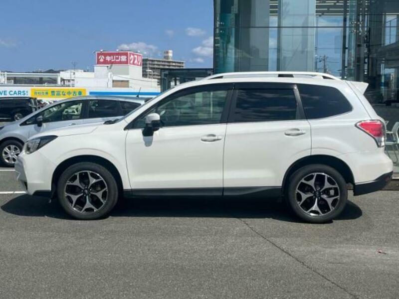 FORESTER