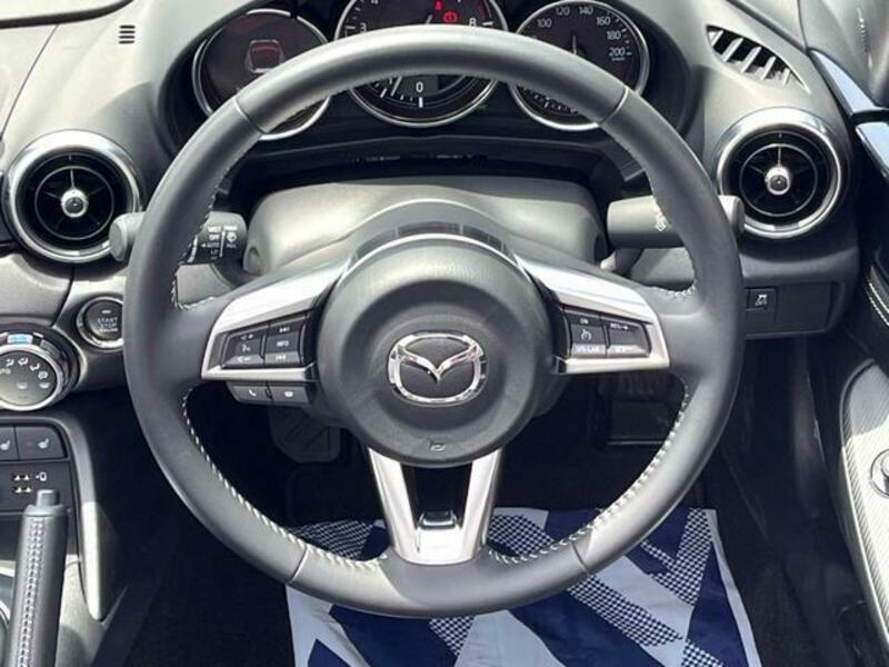 ROADSTER