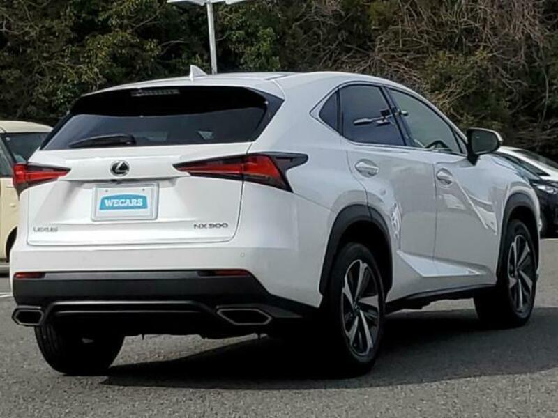 NX