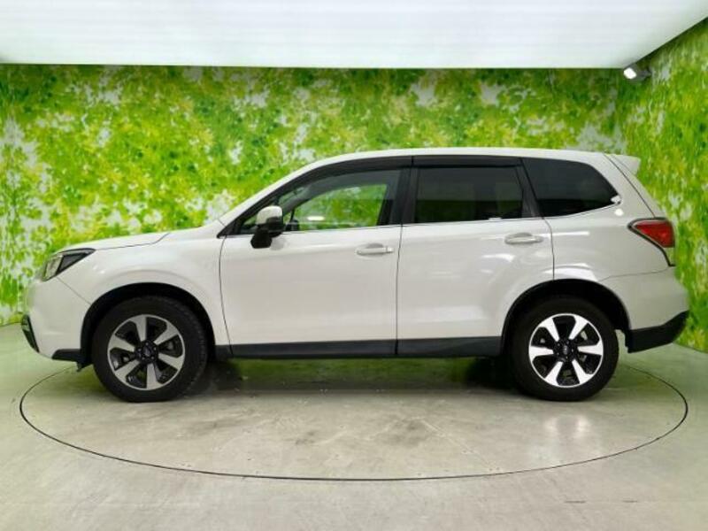 FORESTER