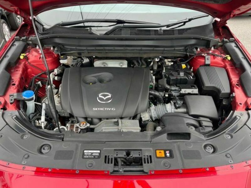 CX-8