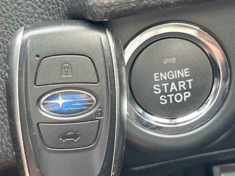 LEVORG-6