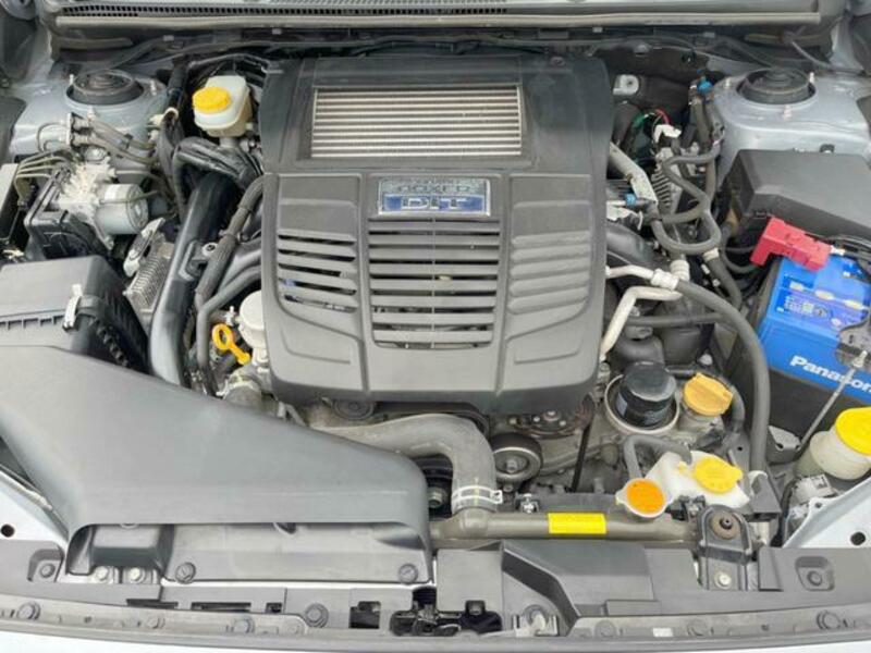 LEVORG-17