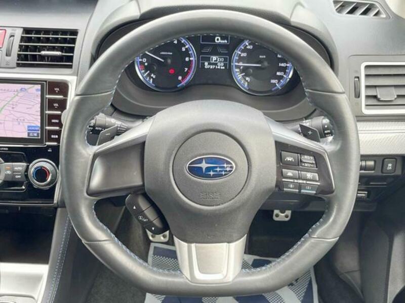 LEVORG-10