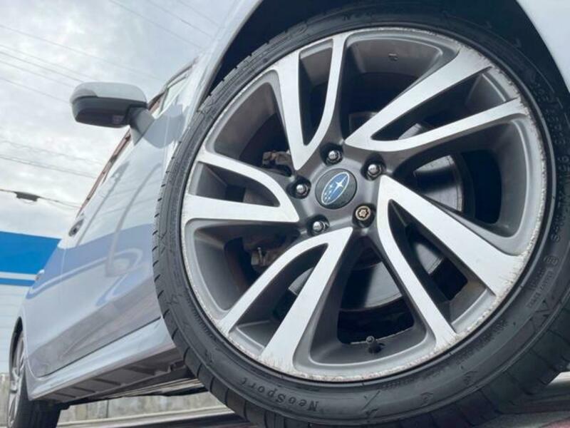 LEVORG-12
