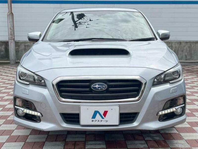 LEVORG-13