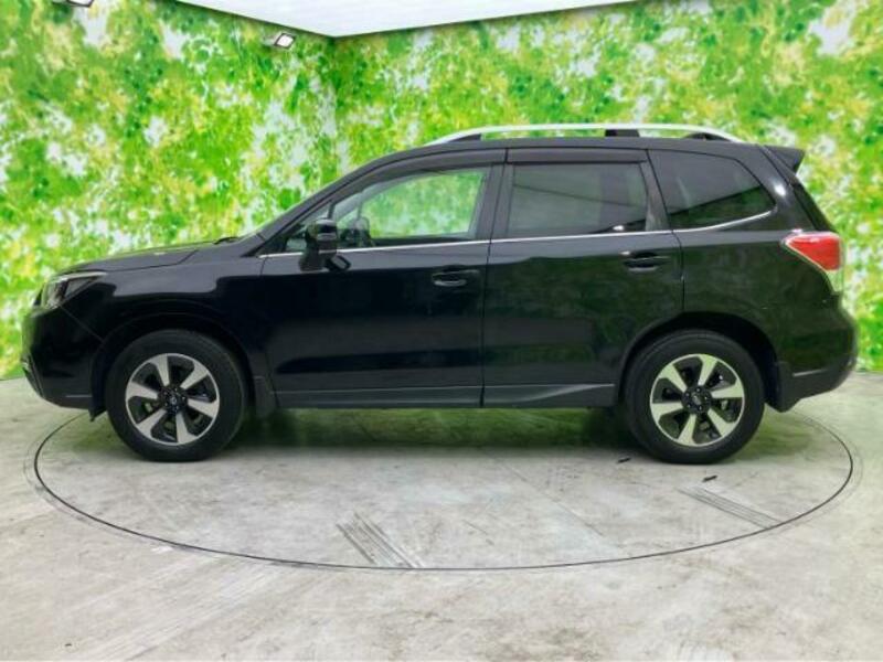 FORESTER-1