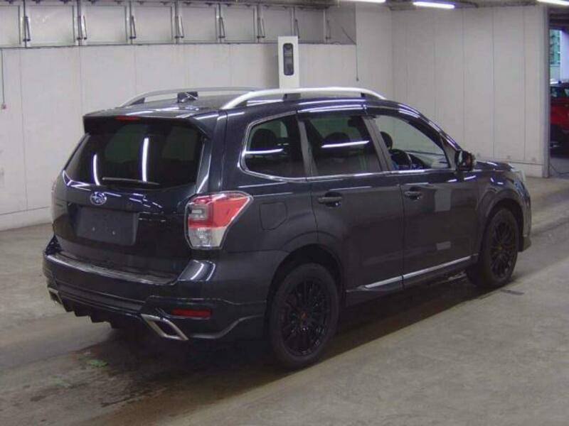 FORESTER-1