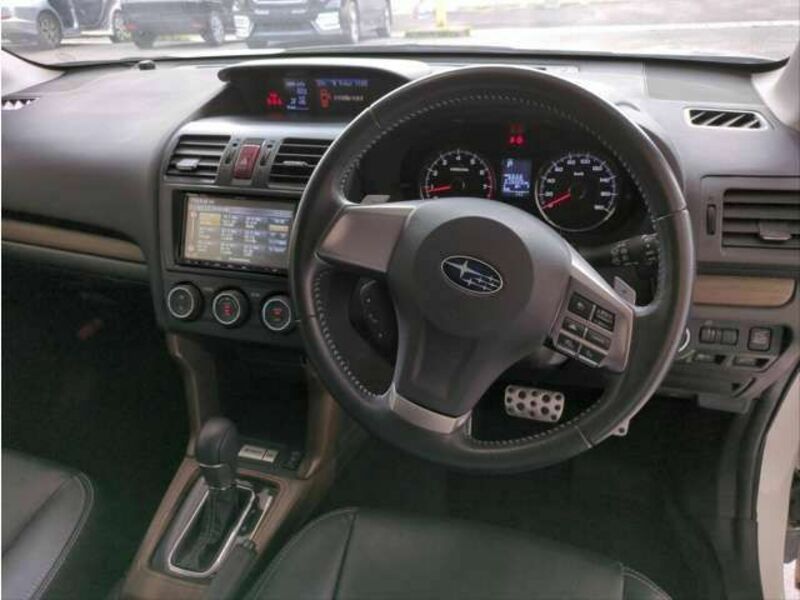FORESTER