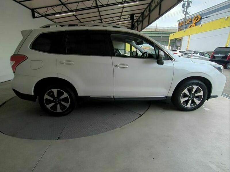 FORESTER