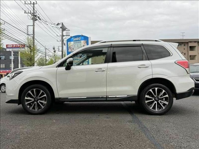 FORESTER-5