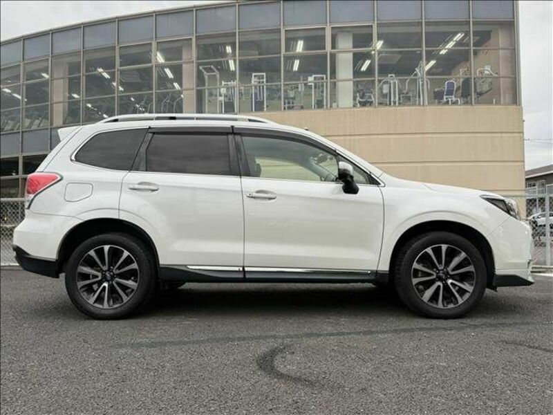 FORESTER-6