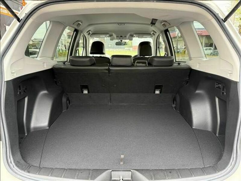 FORESTER-10