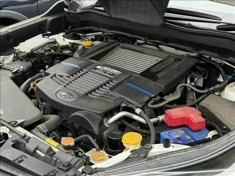 FORESTER-19