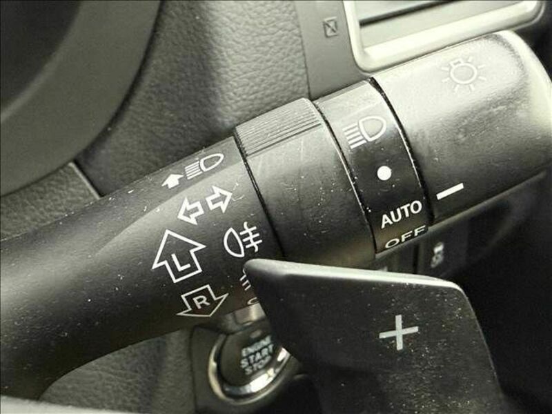 FORESTER-26