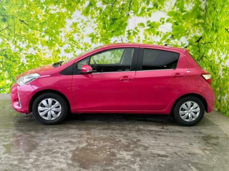 VITZ-1