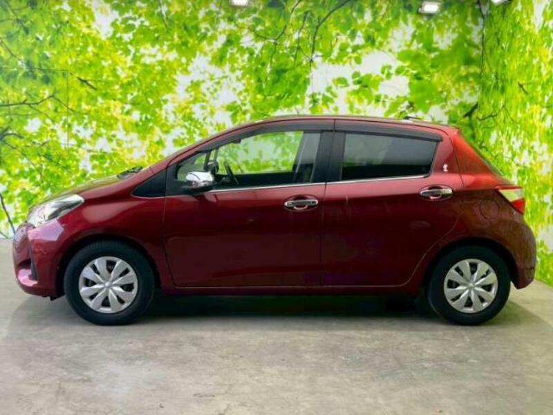 VITZ-1