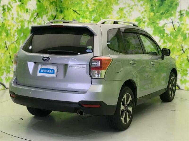 FORESTER-2