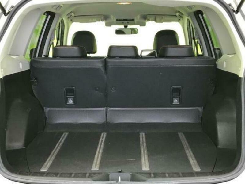 FORESTER-7