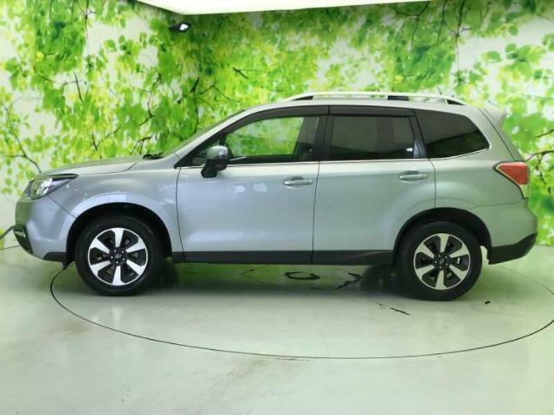 FORESTER-1