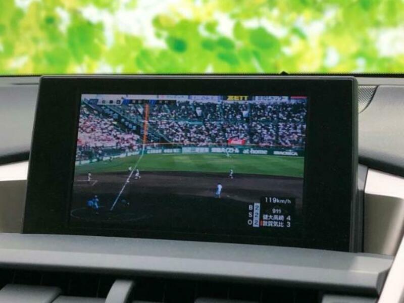 NX