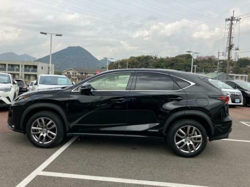 NX