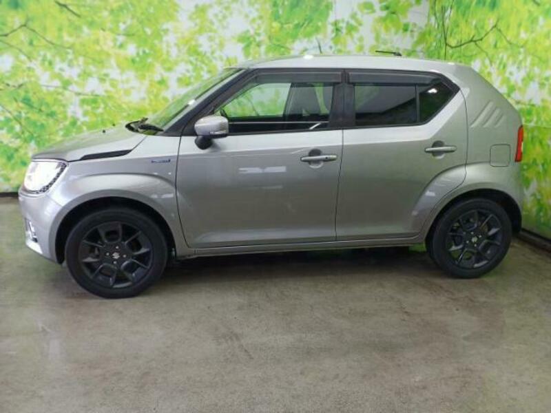 IGNIS
