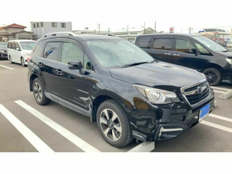 FORESTER