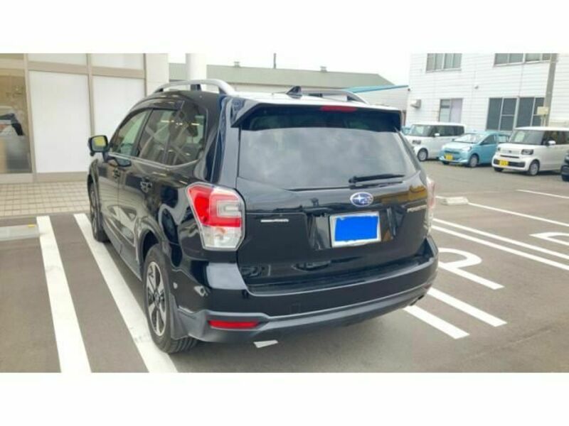 FORESTER-1