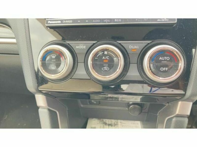 FORESTER-4