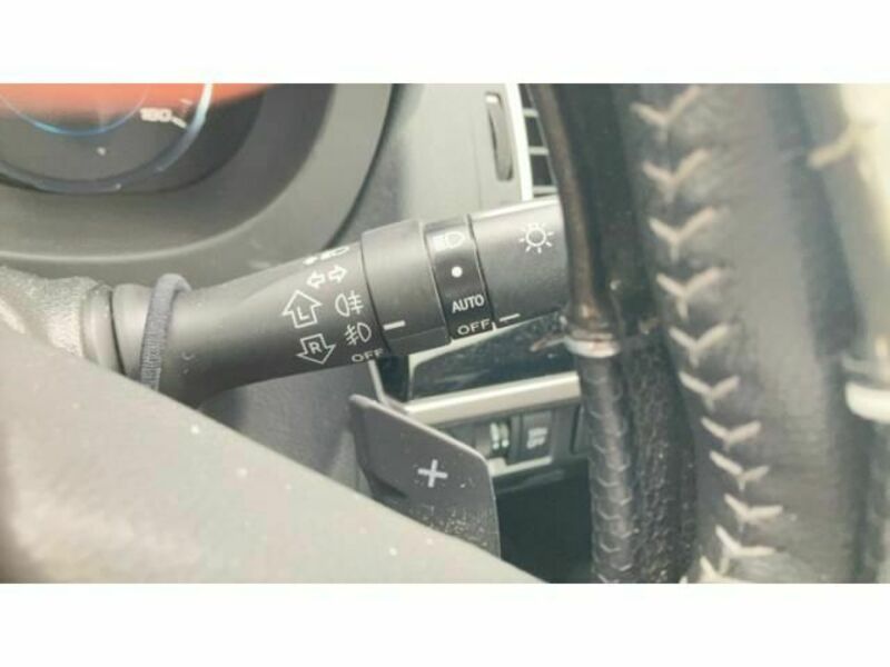 FORESTER-8