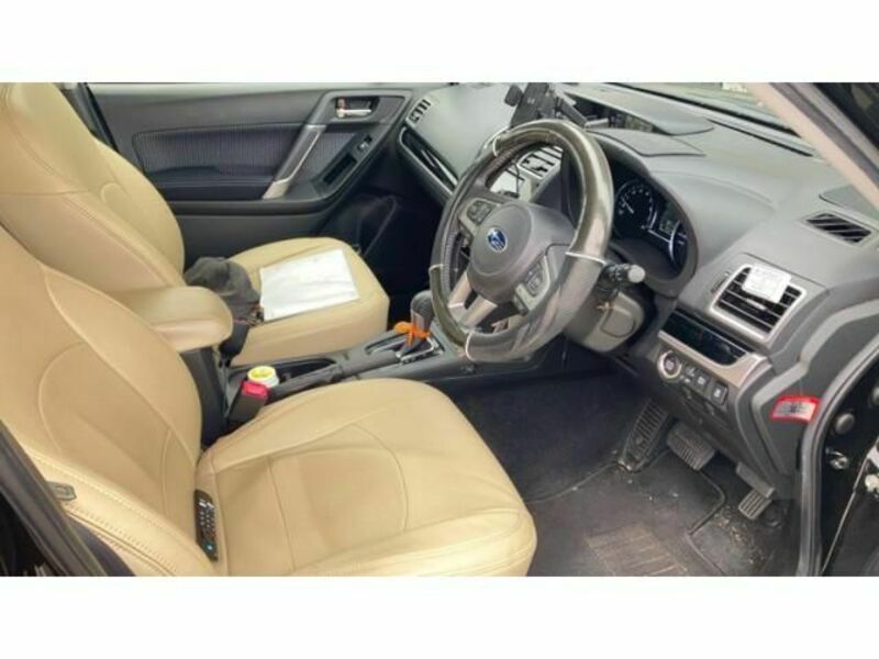 FORESTER-11