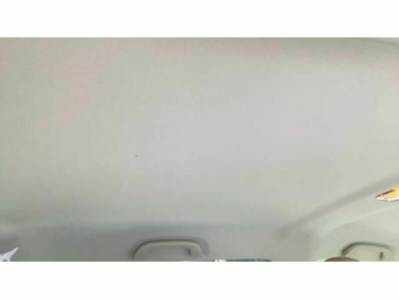 FORESTER-15
