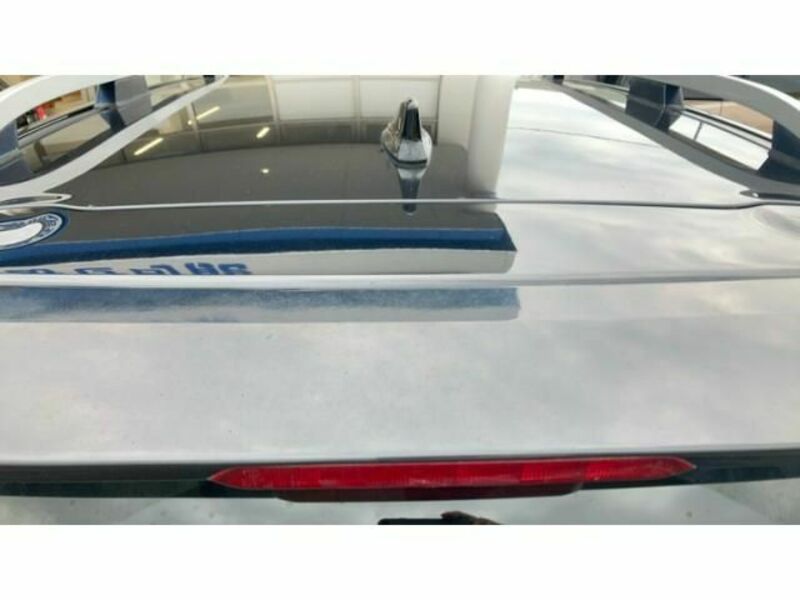 FORESTER-17