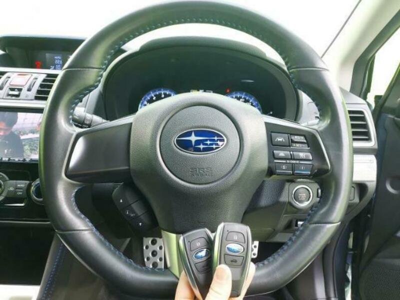 LEVORG-17