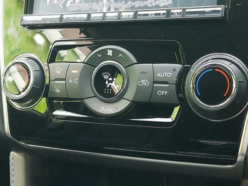 LEVORG-11