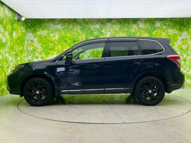 FORESTER