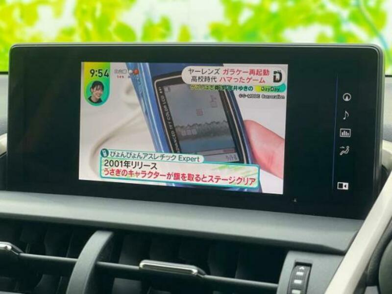NX