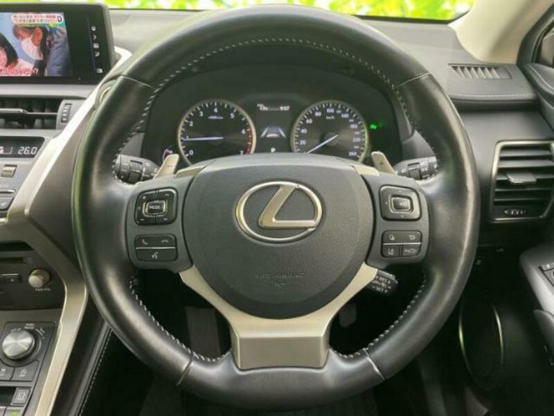 NX