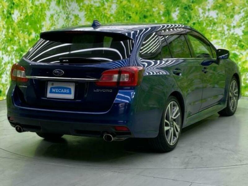 LEVORG-2