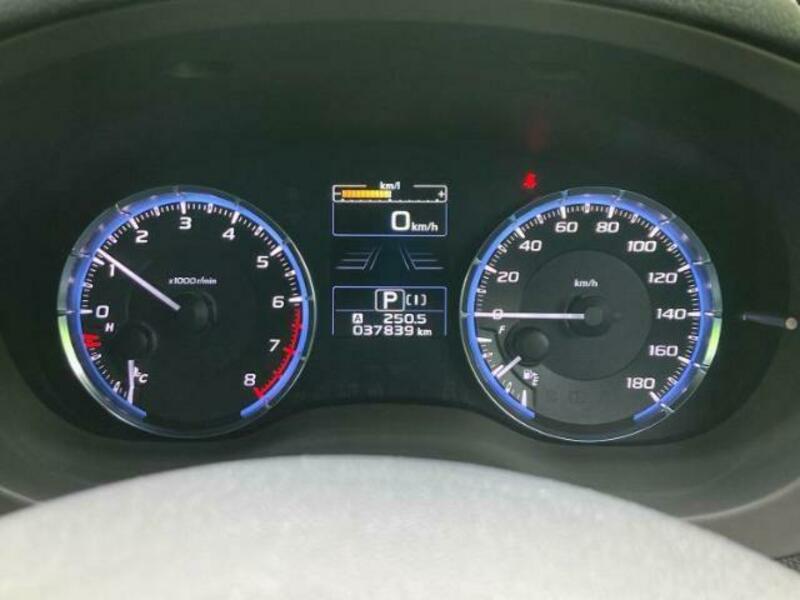 LEVORG-13