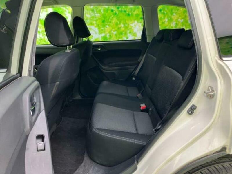 FORESTER-6