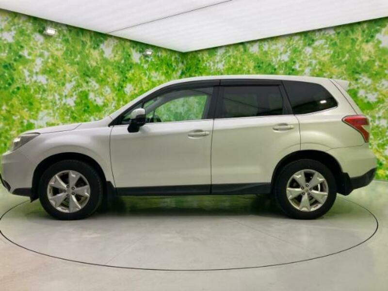 FORESTER-1