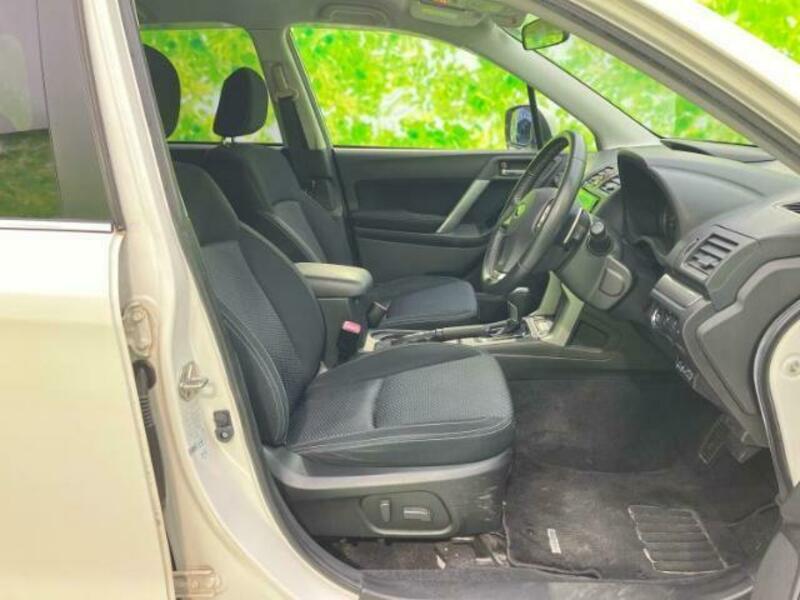 FORESTER-3