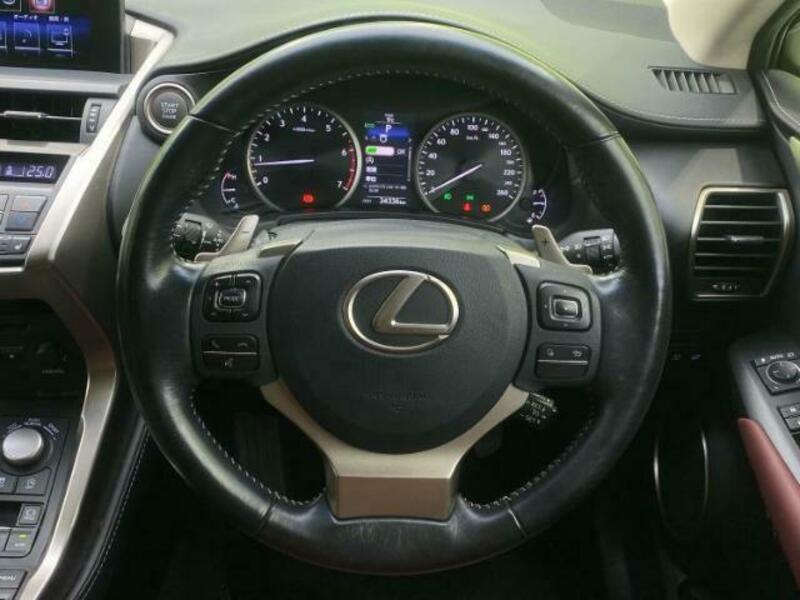 NX