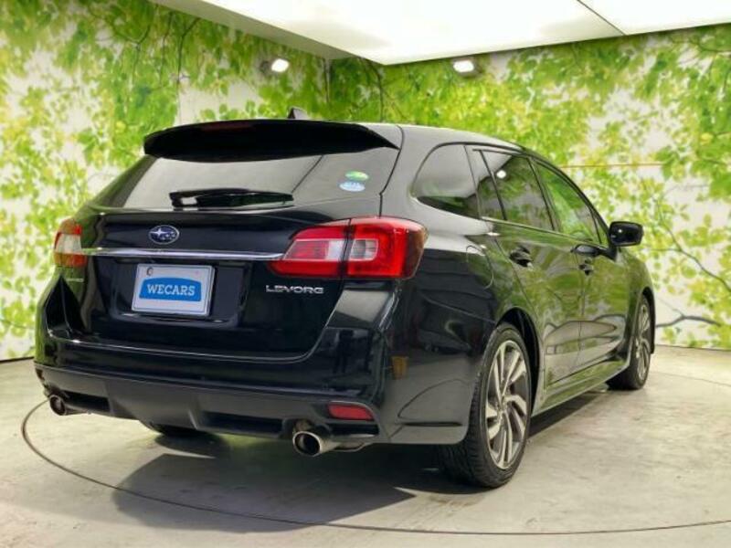 LEVORG