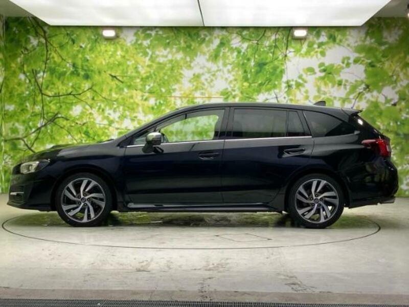 LEVORG